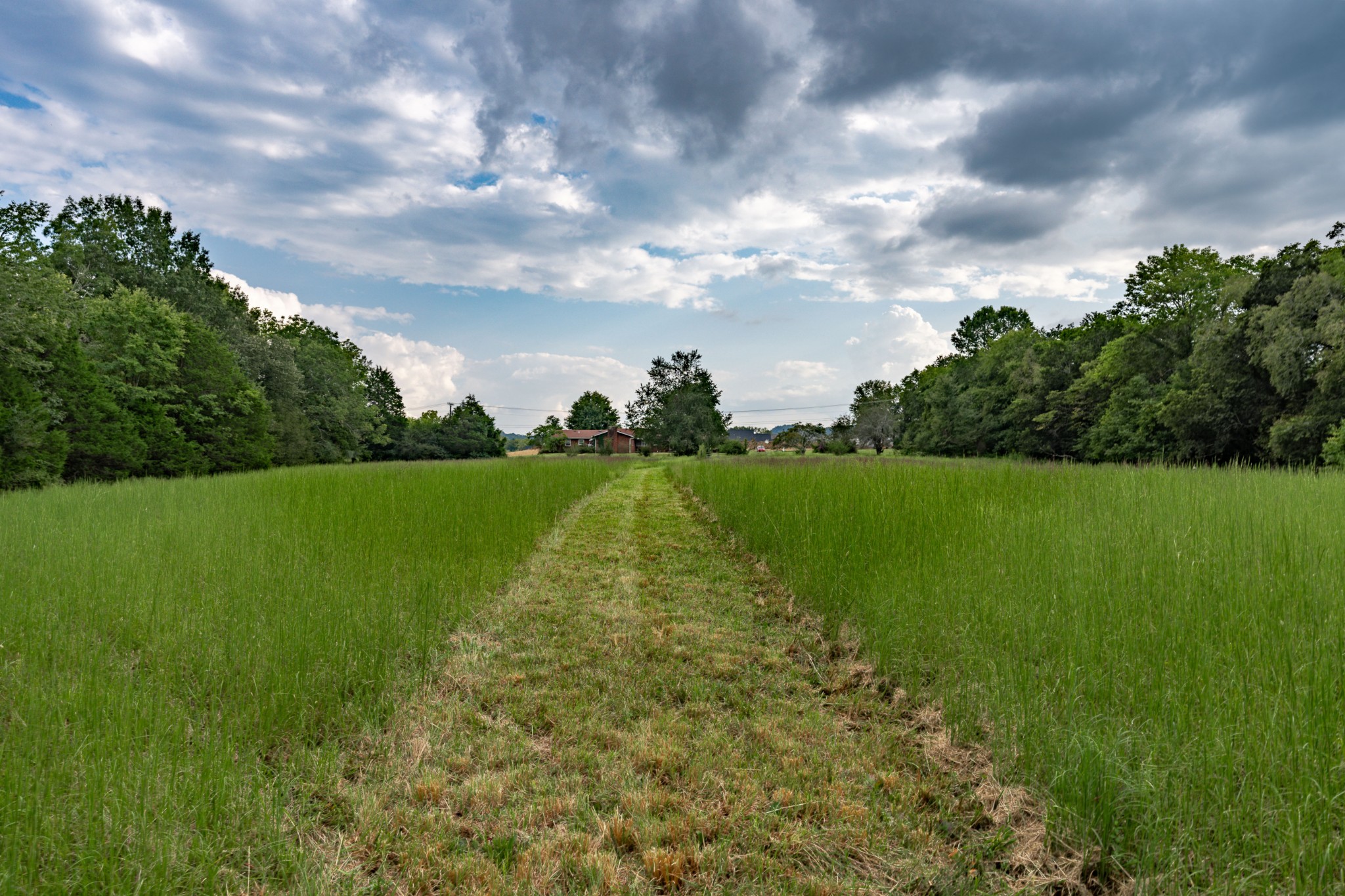 4534 Long Ln Property Photo 44