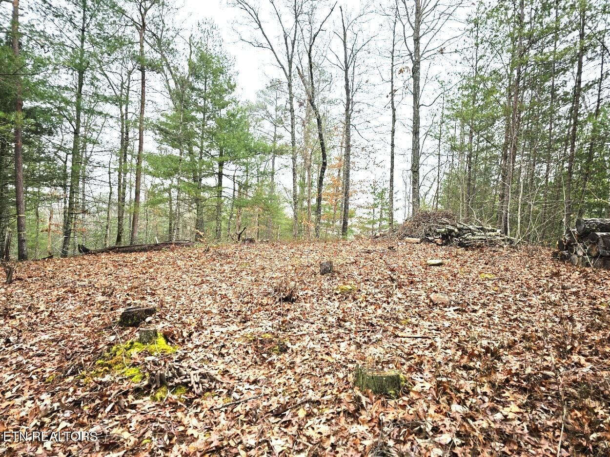 514 Percussion Court Property Photo 1