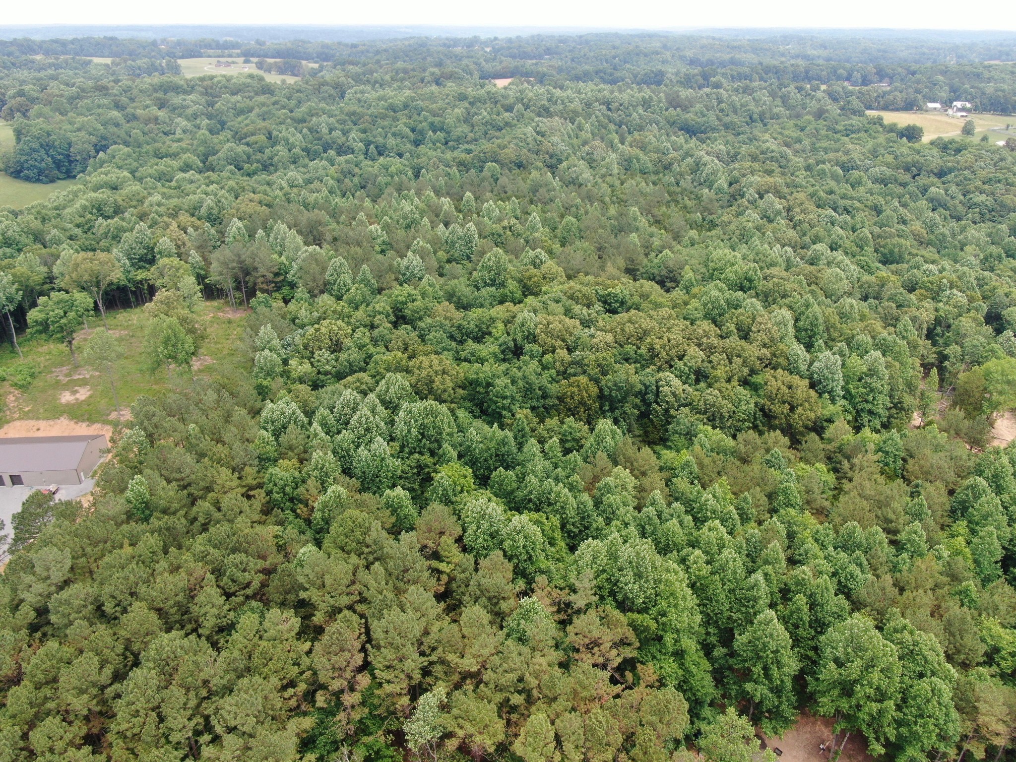 1429 Old Stage Rd Property Photo 12