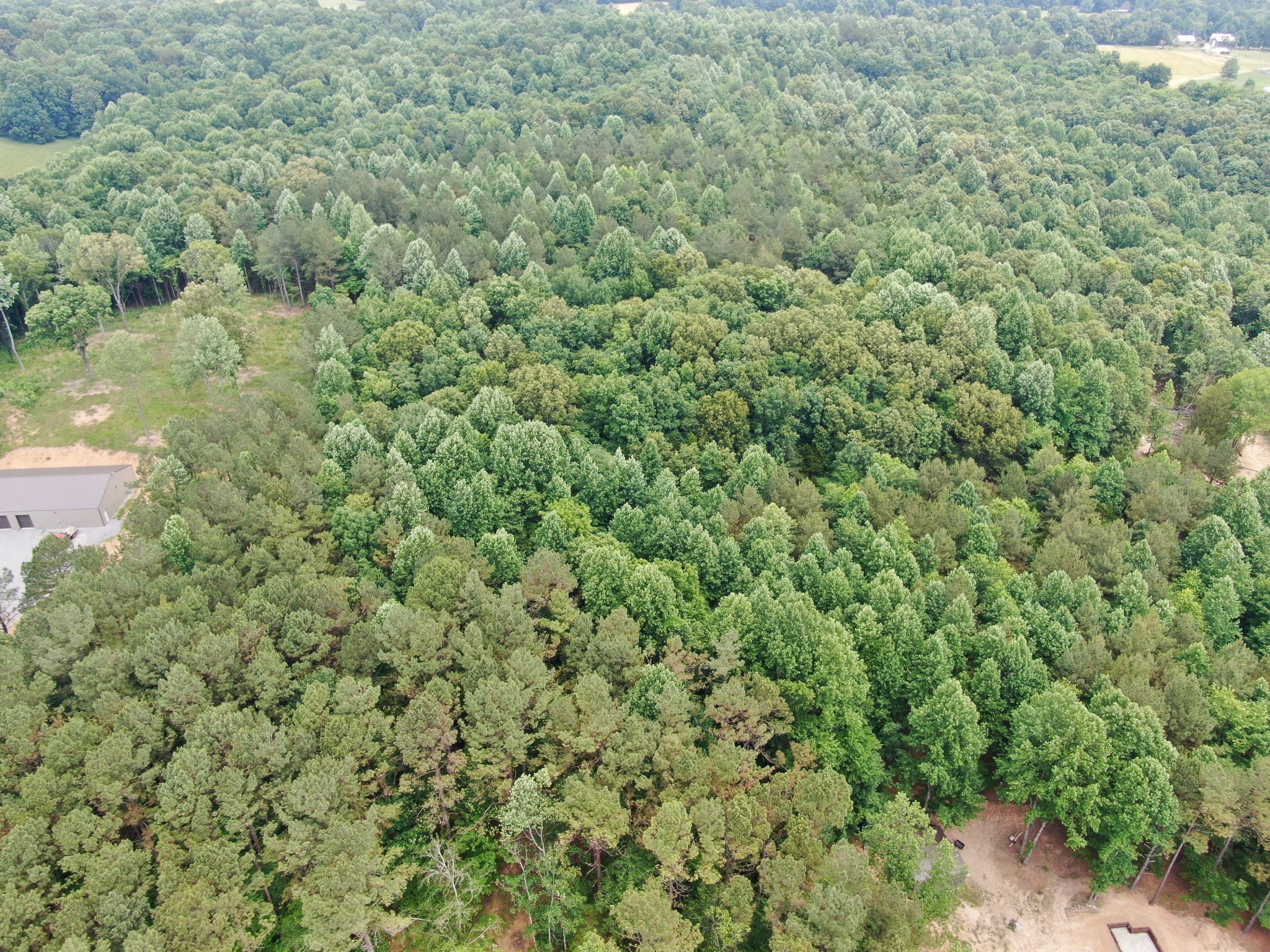 1429 Old Stage Rd Property Photo 15