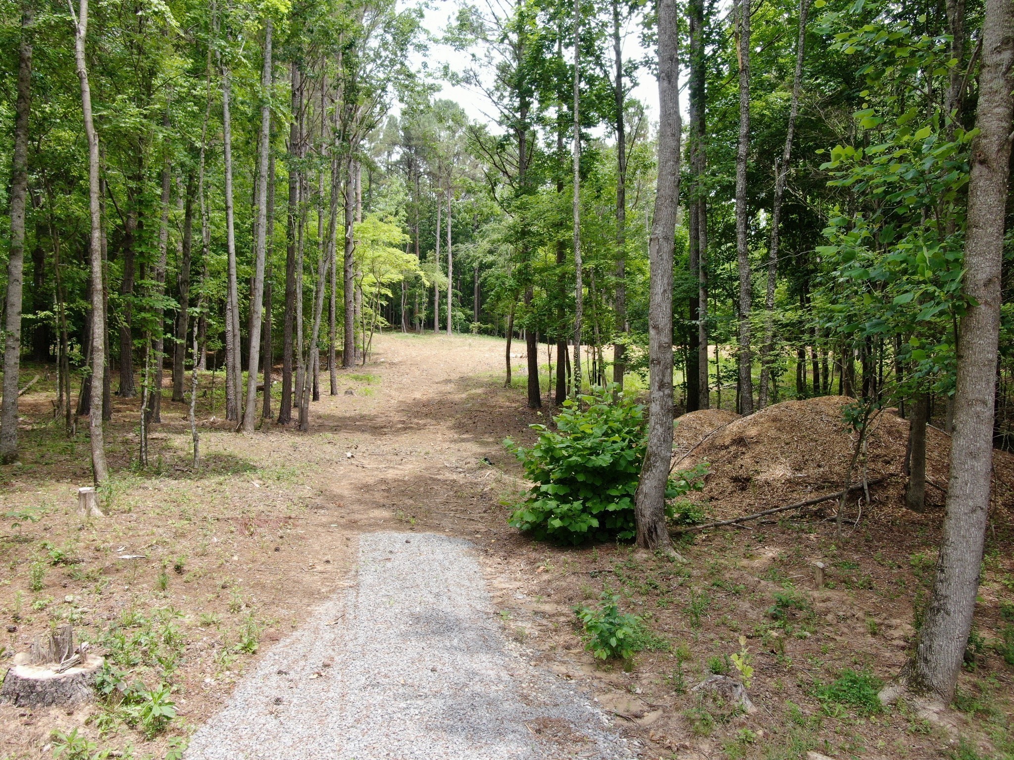 1429 Old Stage Rd Property Photo 22