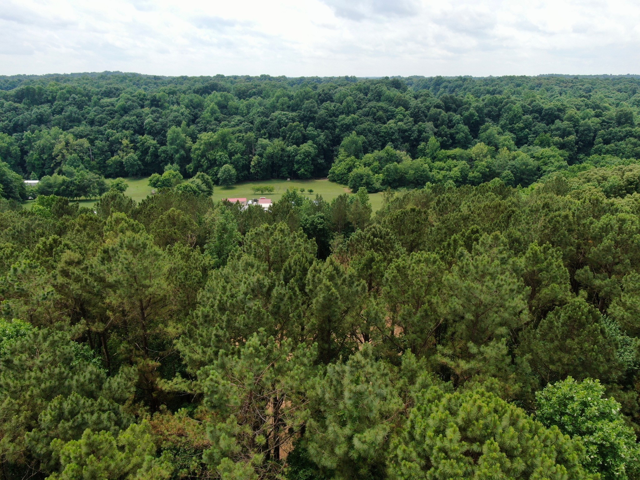1429 Old Stage Rd Property Photo 27