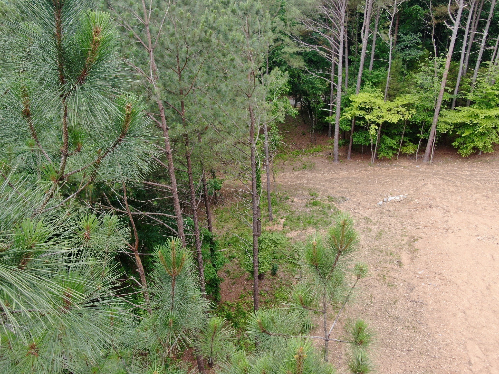 1429 Old Stage Rd Property Photo 34