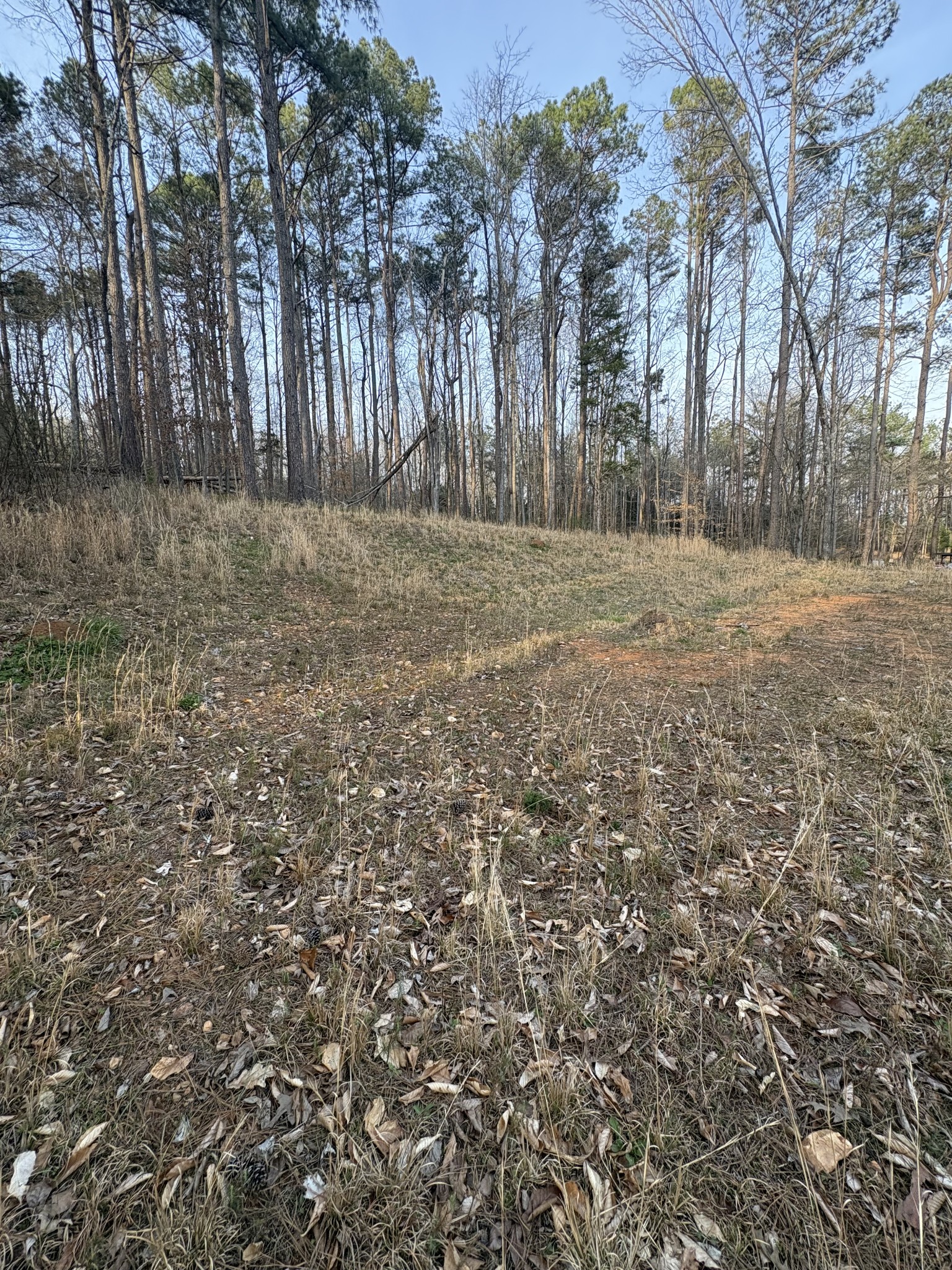 1429 Old Stage Rd Property Photo 36