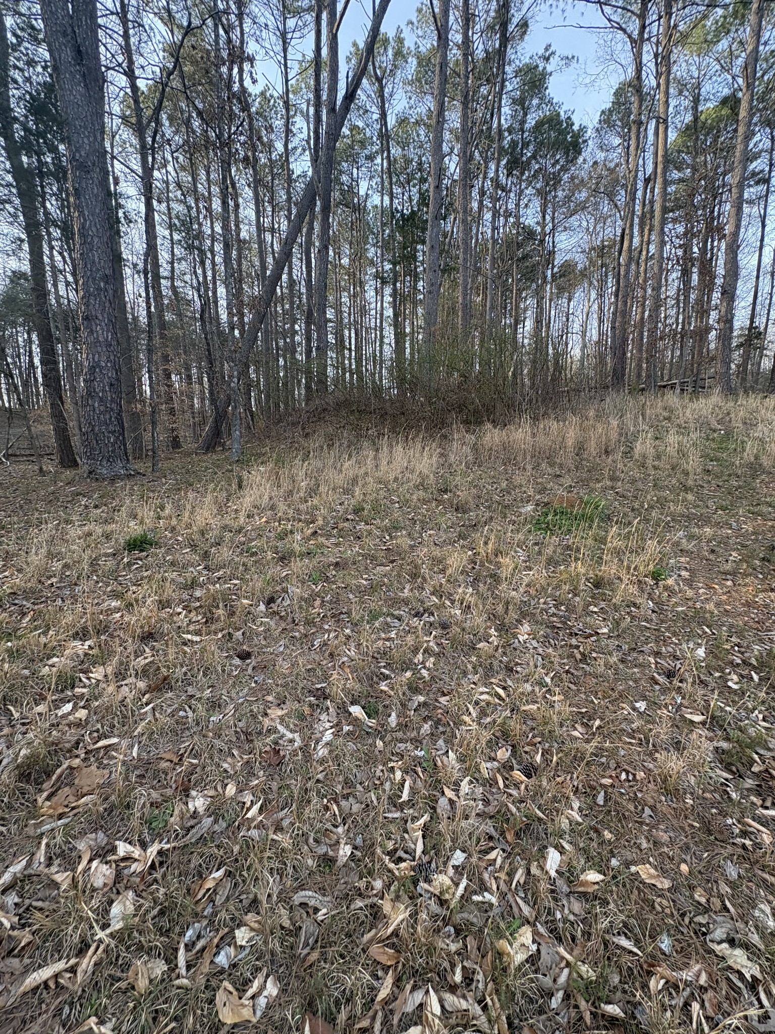 1429 Old Stage Rd Property Photo 37