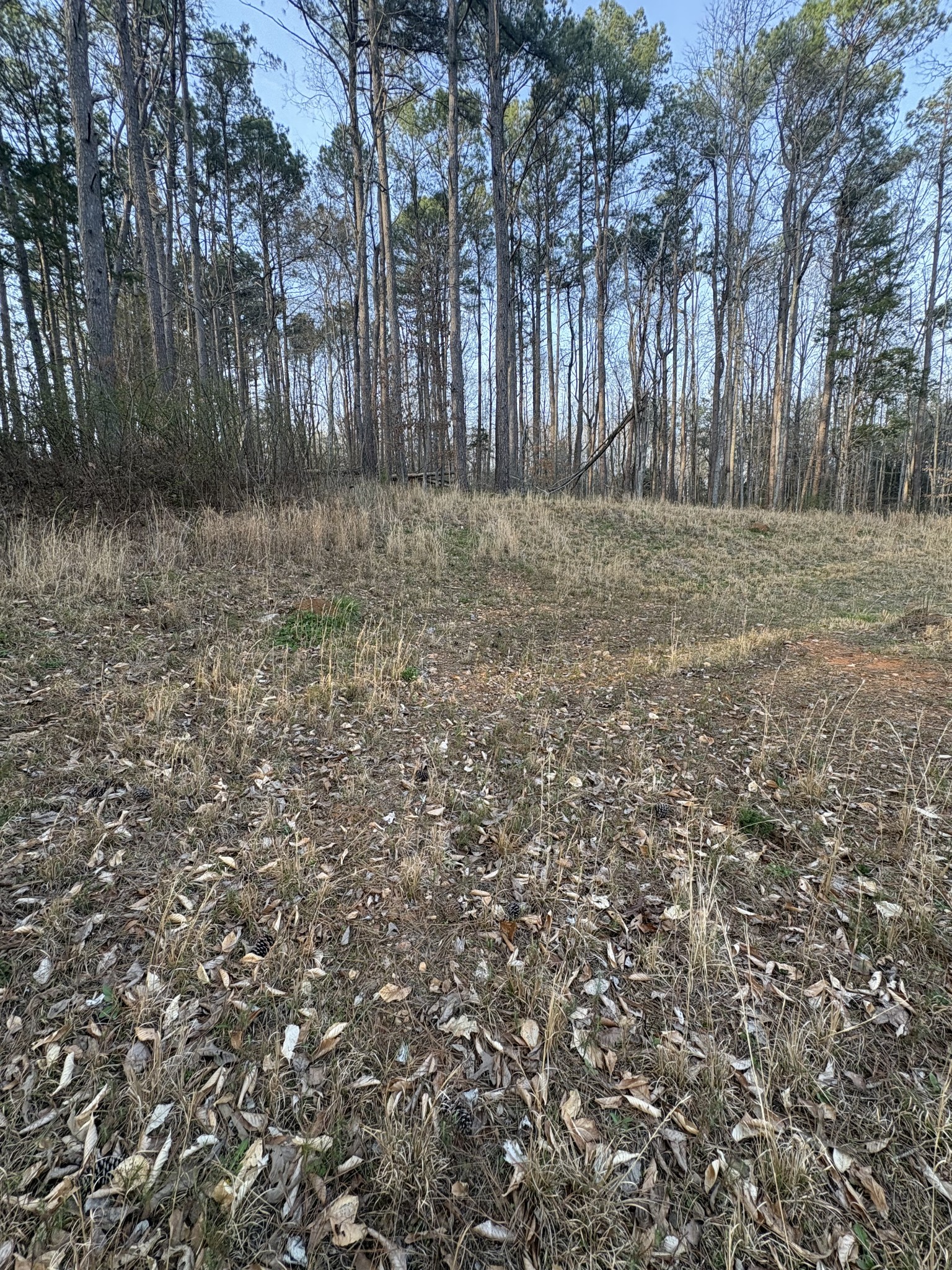 1429 Old Stage Rd Property Photo 38