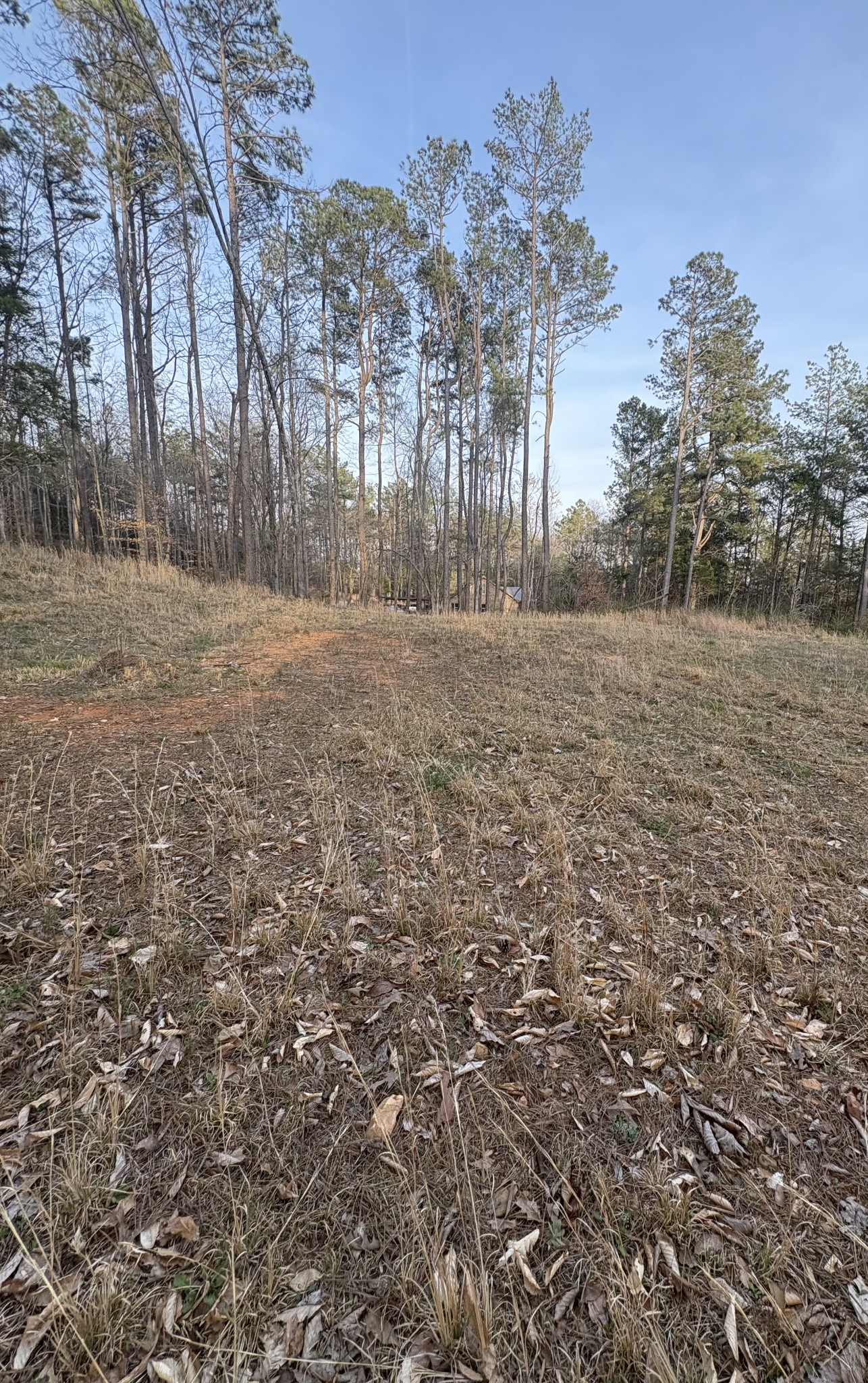 1429 Old Stage Rd Property Photo 39