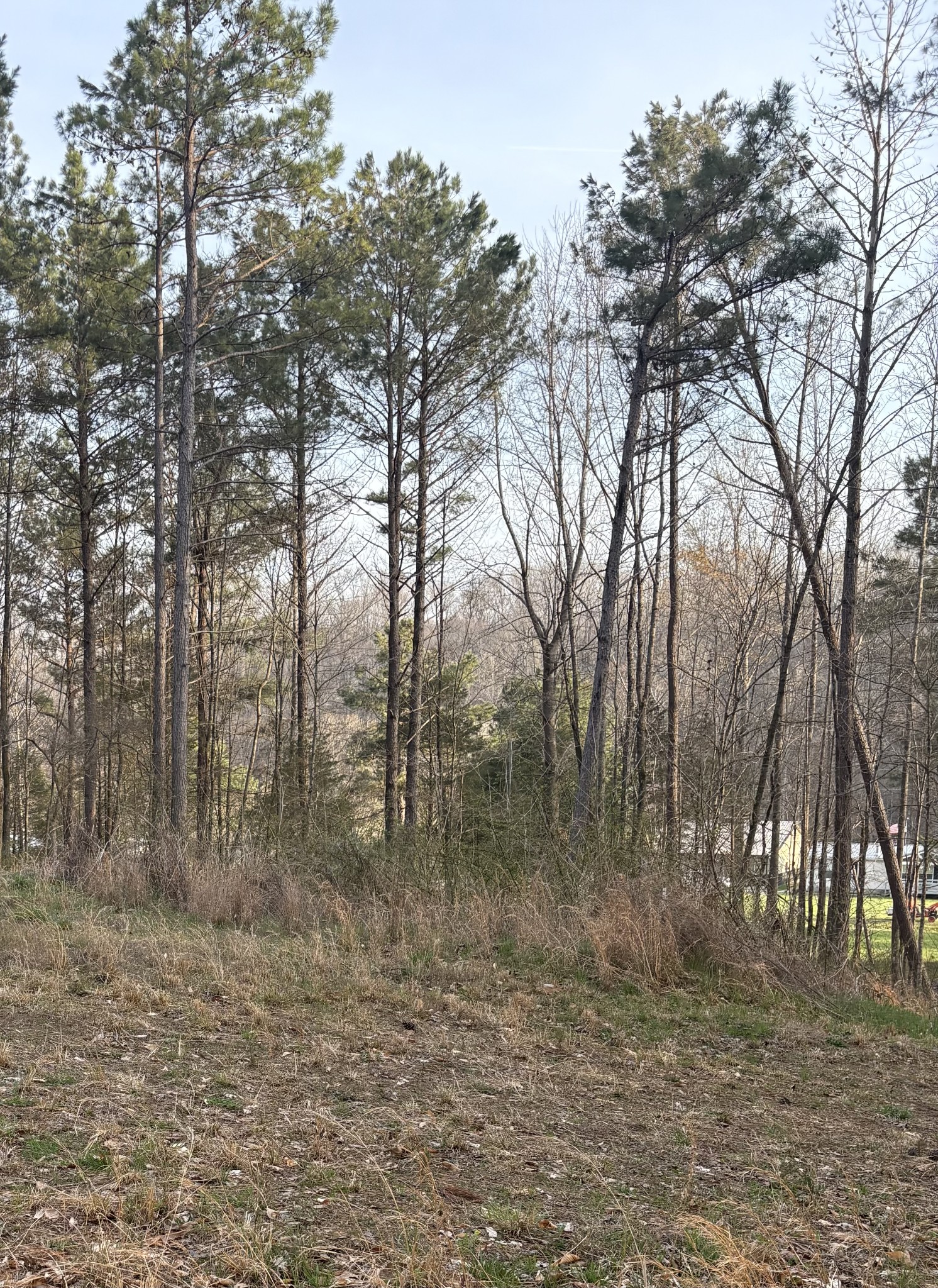 1429 Old Stage Rd Property Photo 40