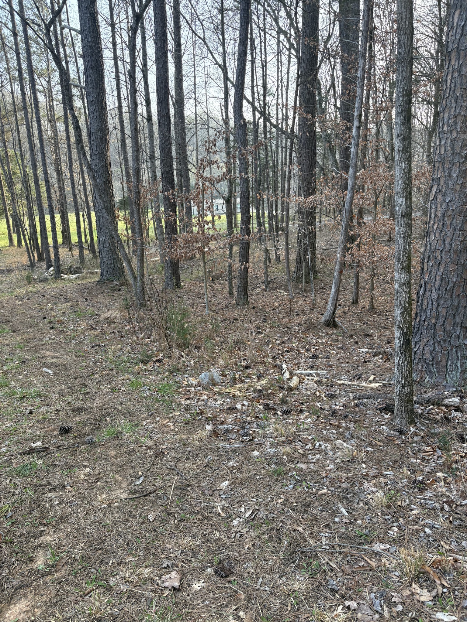 1429 Old Stage Rd Property Photo 42