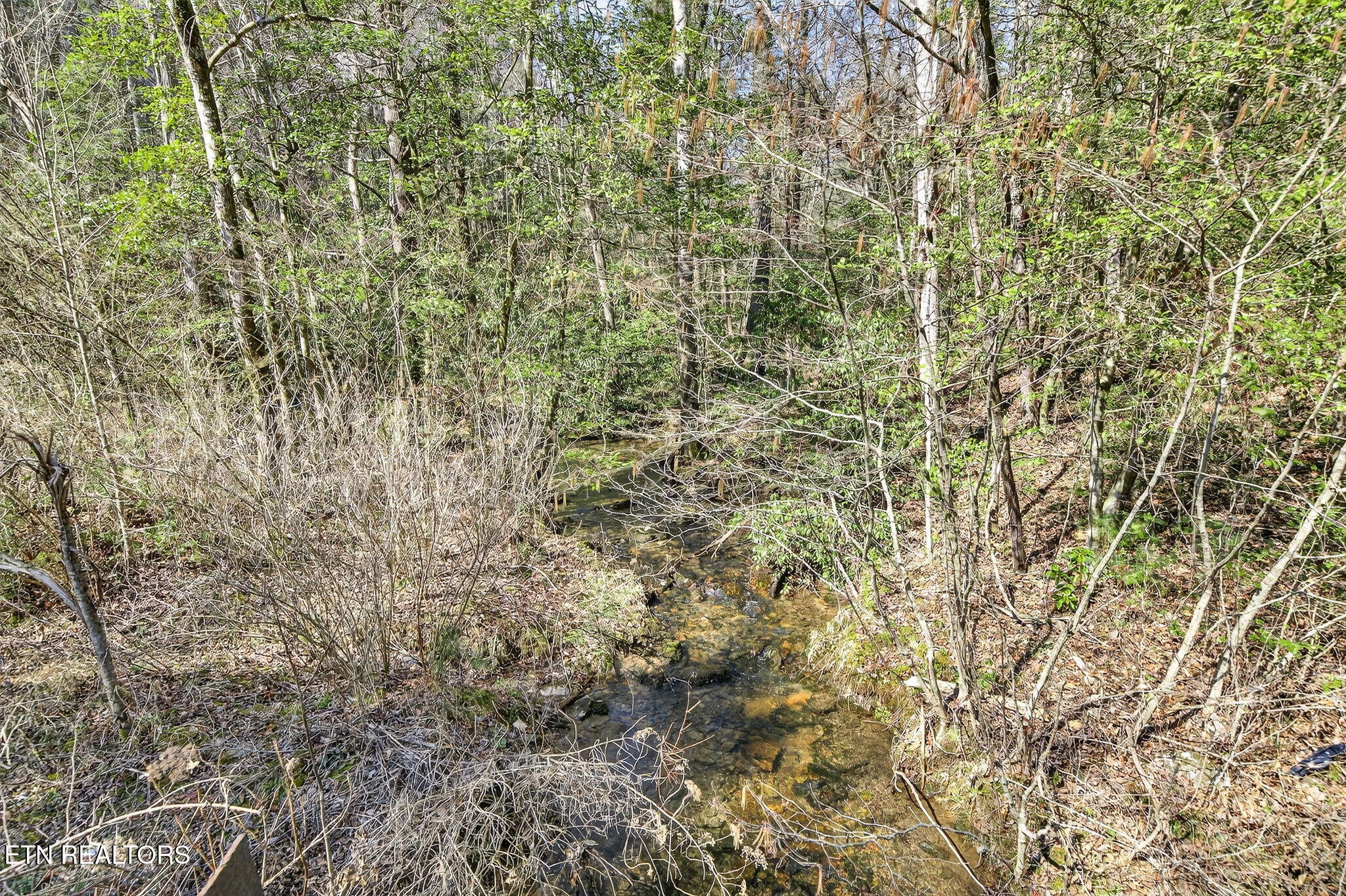 0 Dogwood Rd Property Photo 2