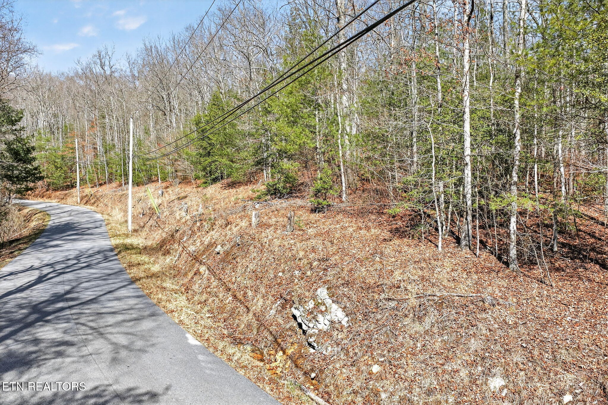 0 Dogwood Rd Property Photo 5