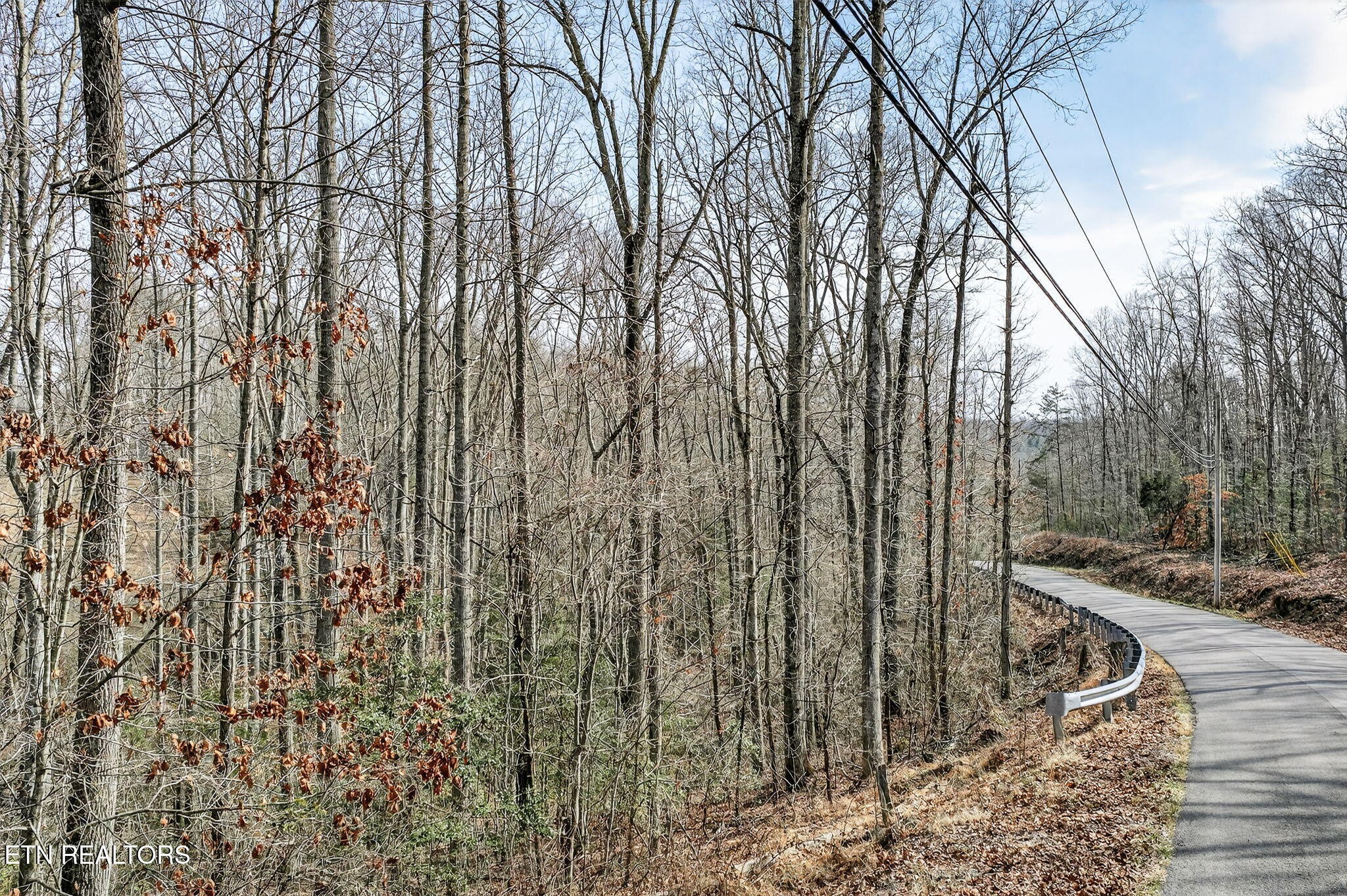 0 Dogwood Rd Property Photo 8