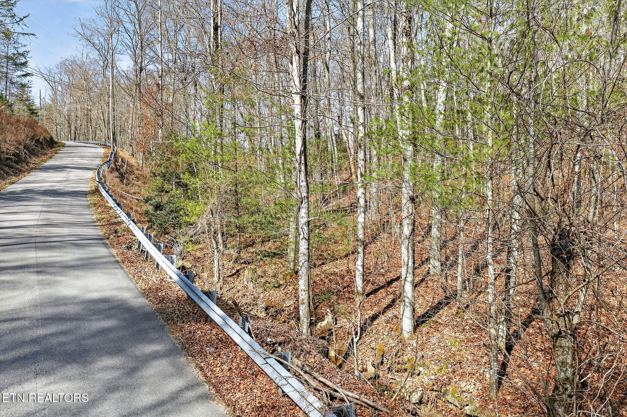 0 Dogwood Rd Property Photo 9