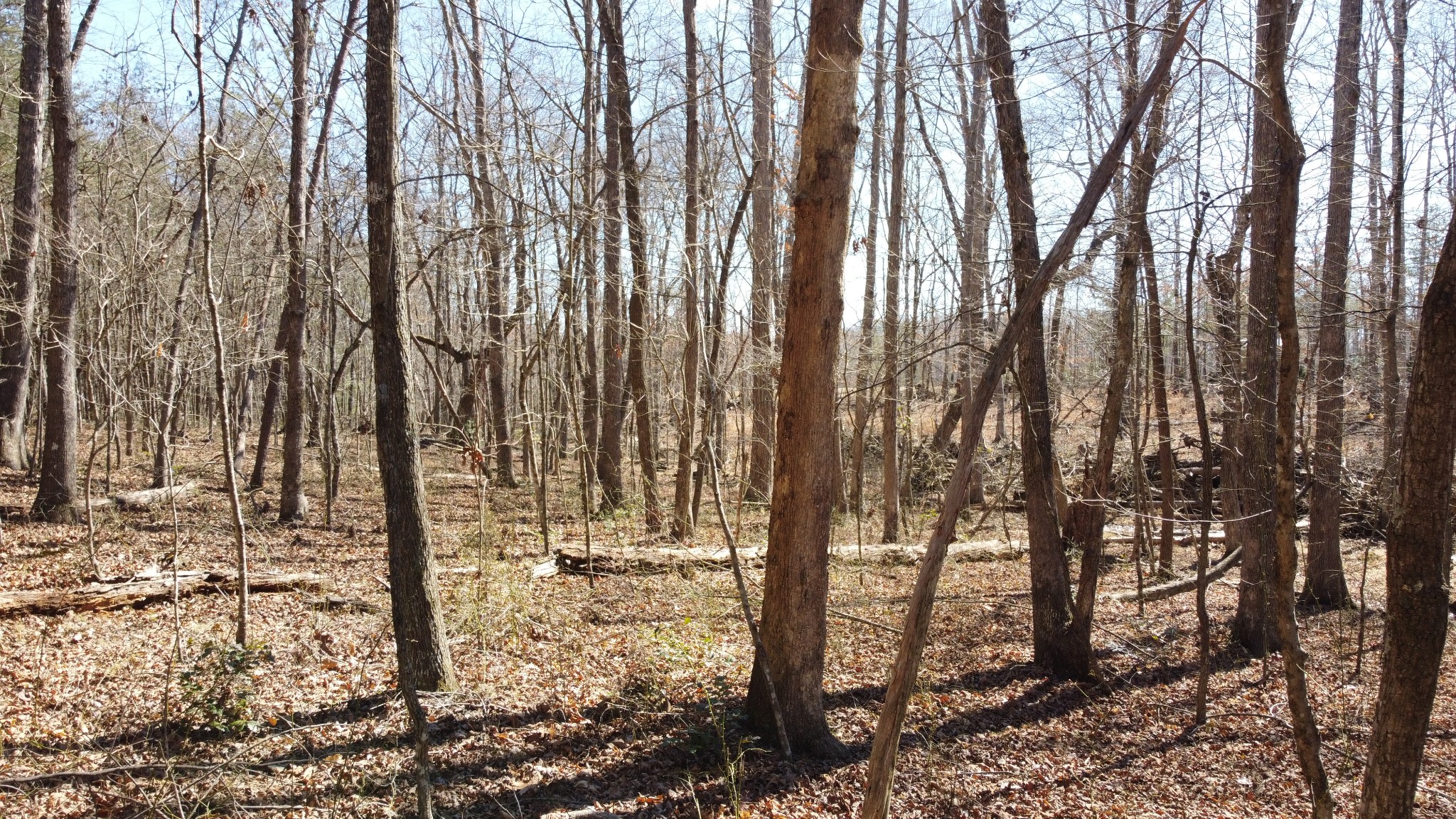 0 Rolling Hills Dr Property Photo 6