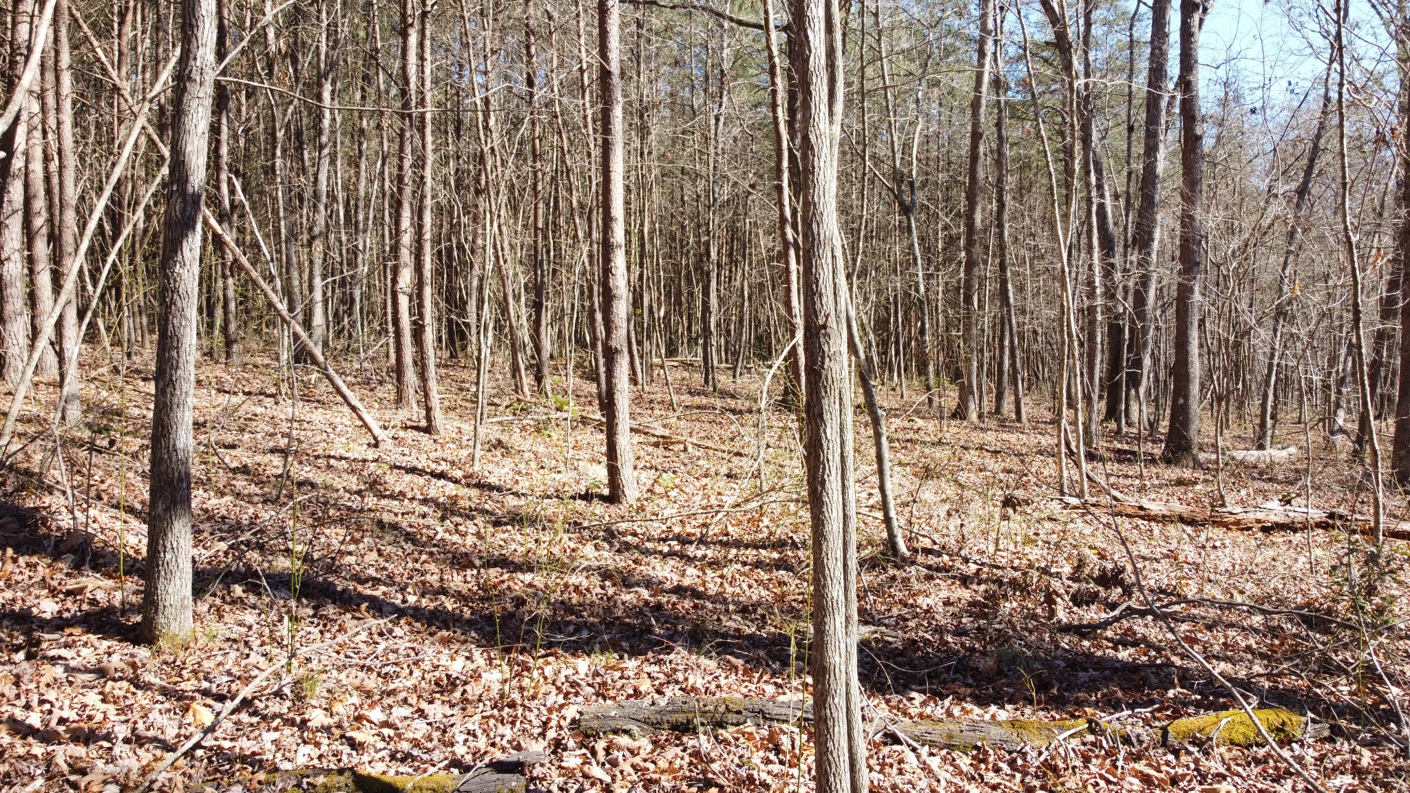 0 Rolling Hills Dr Property Photo 9