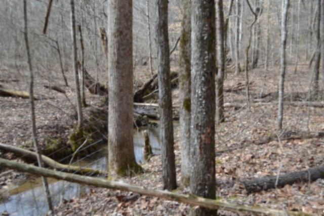 0 Boles Road Property Photo 5