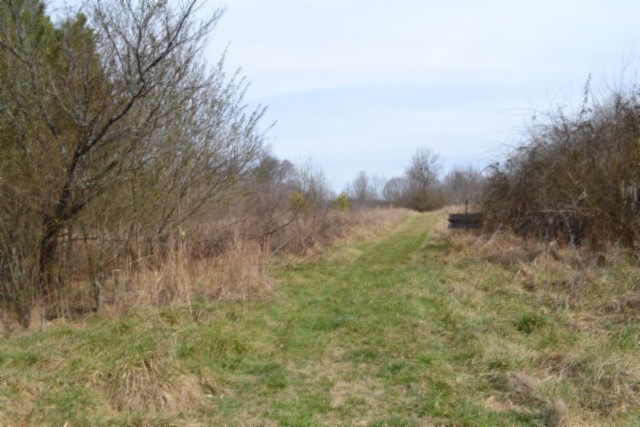 0 Boles Road Property Photo 11