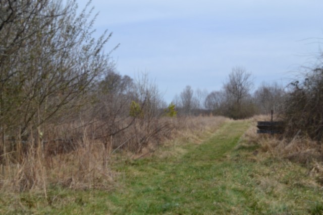 0 Boles Road Property Photo 12