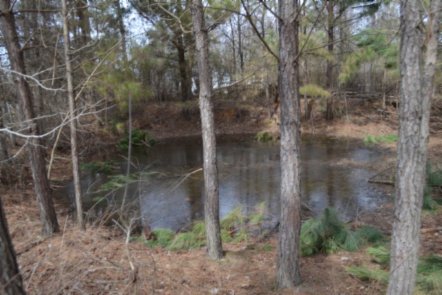 0 Boles Road Property Photo 18