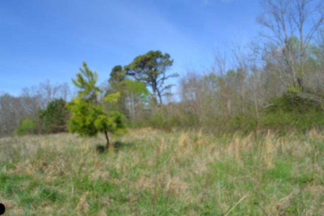 0 Boles Road Property Photo 26