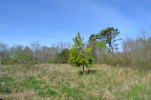 0 Boles Road Property Photo 27