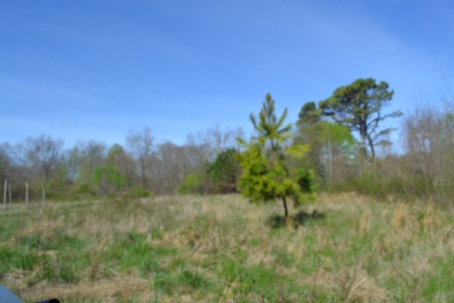 0 Boles Road Property Photo 28