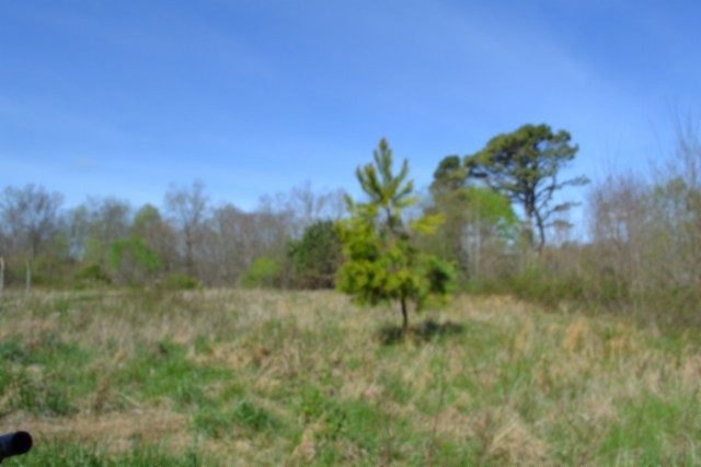 0 Boles Road Property Photo 29
