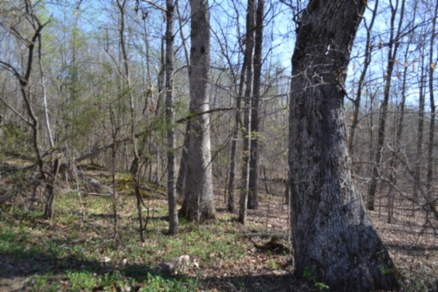 0 Boles Road Property Photo 34