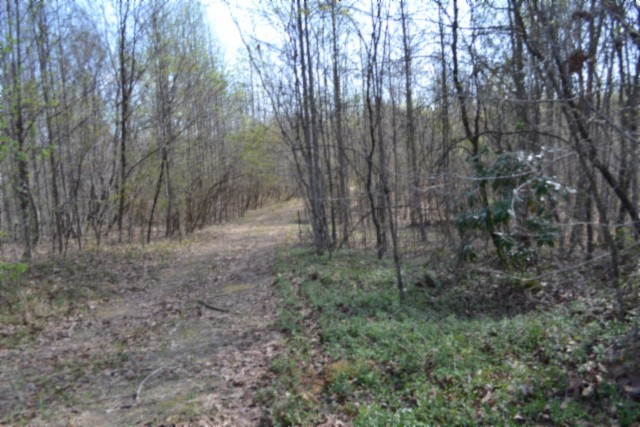 0 Boles Road Property Photo 36