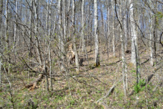 0 Boles Road Property Photo 38