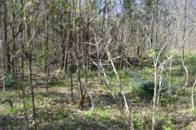 0 Boles Road Property Photo 44