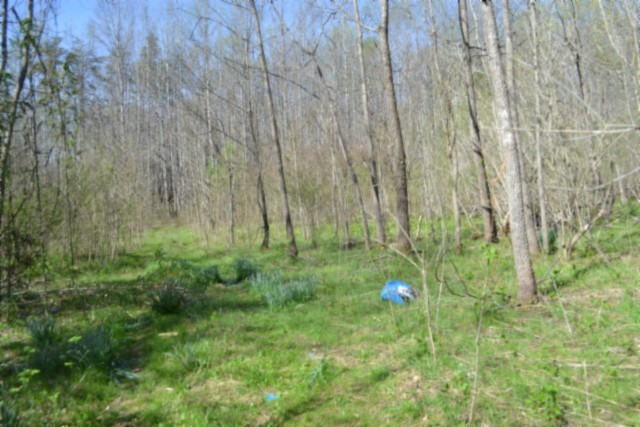 0 Boles Road Property Photo 45