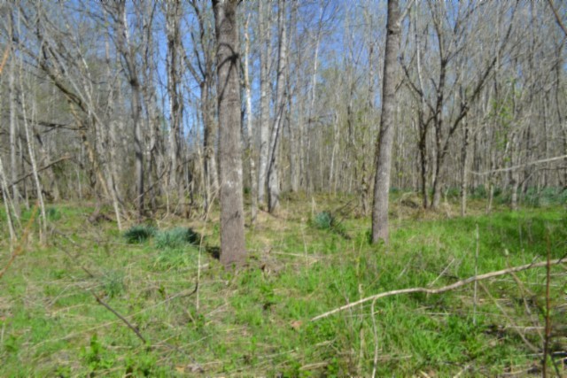 0 Boles Road Property Photo 46