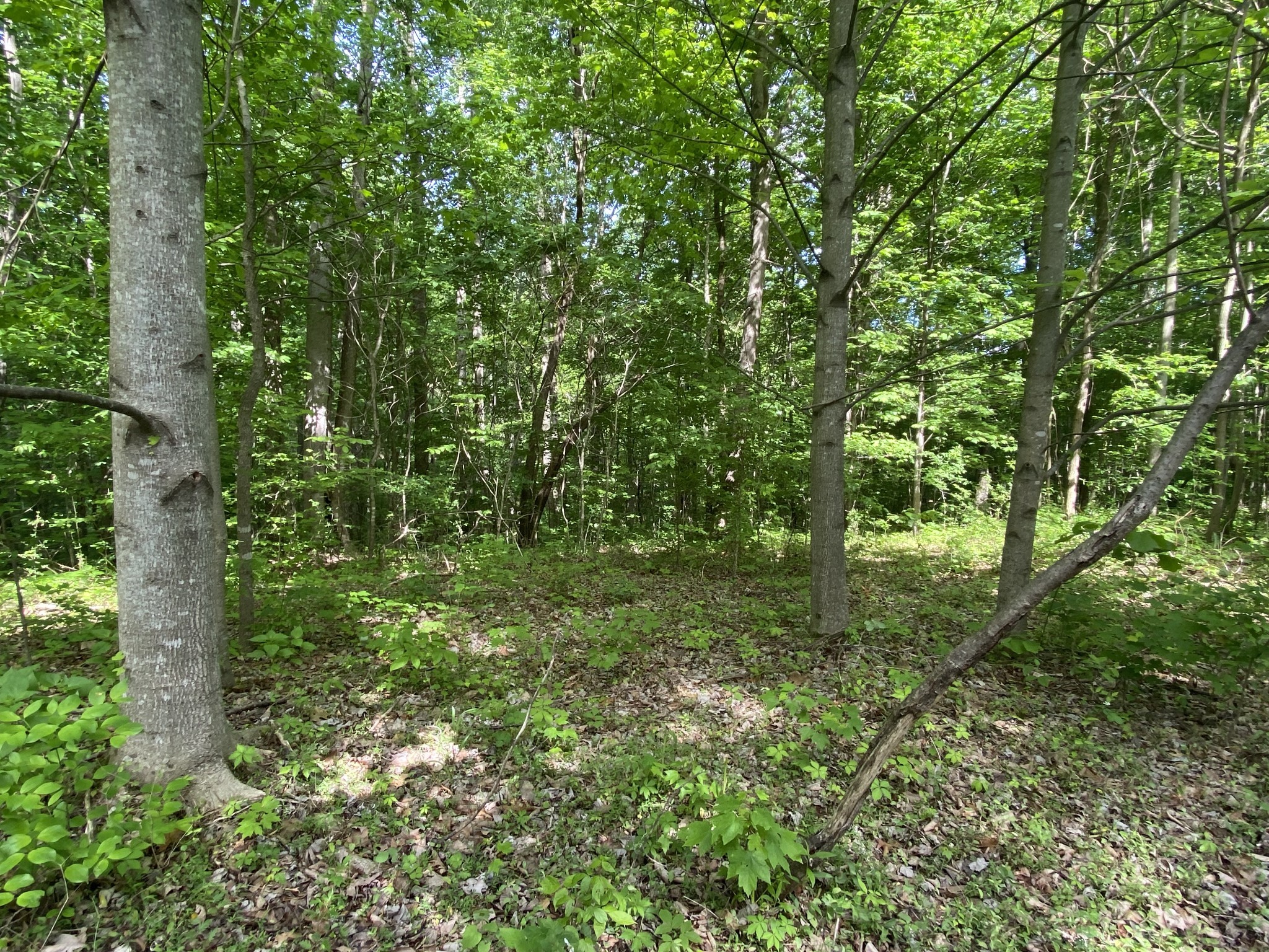 297 Tennis Center Drive Property Photo 13