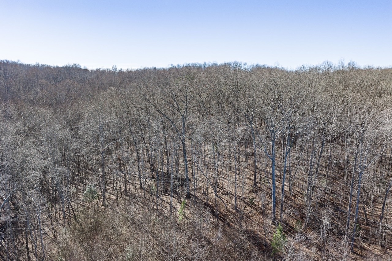 0 Old Altamont Rd Property Photo 1