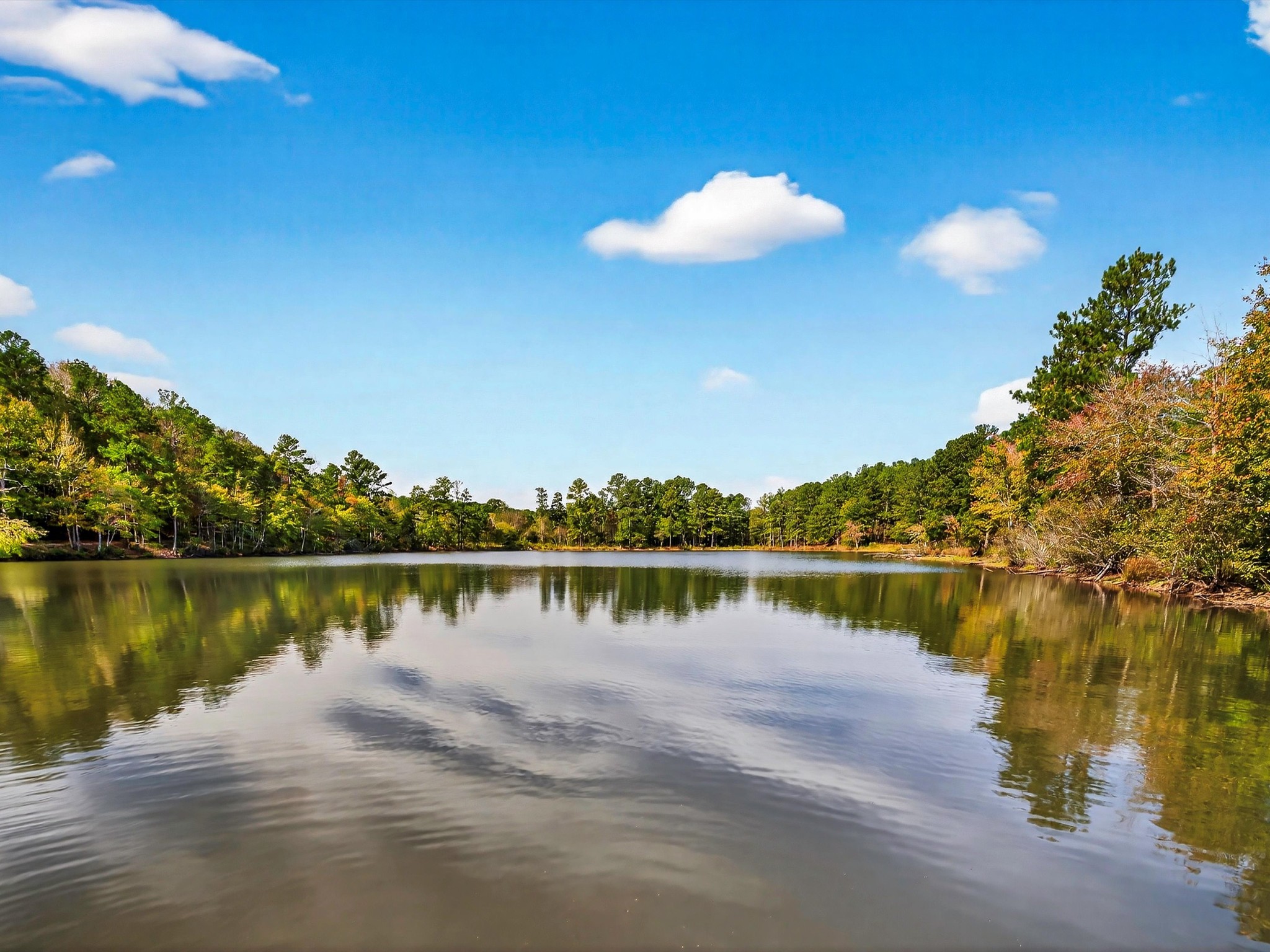4453 Marsh Mountain Cutoff Property Photo 33