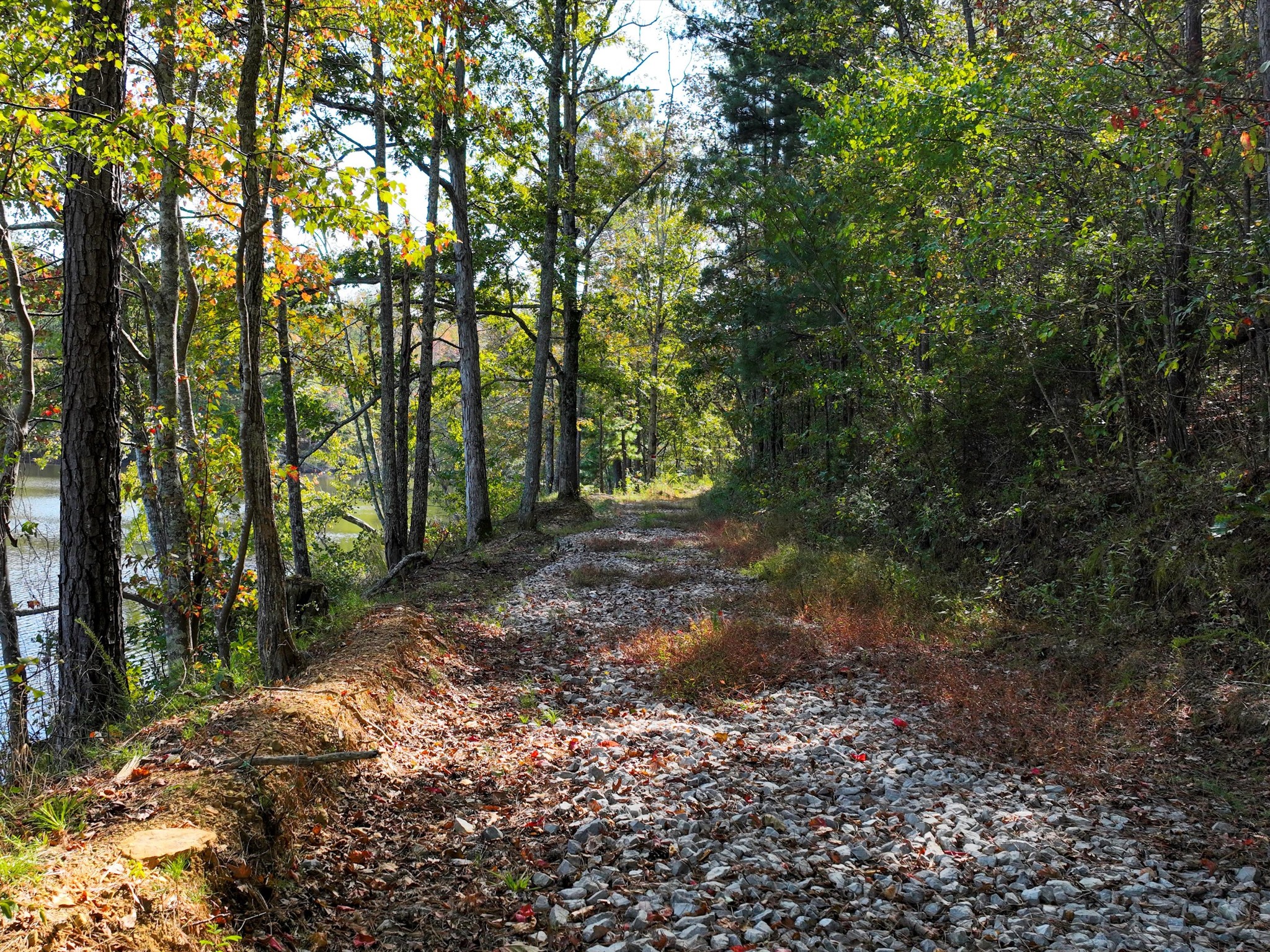 4453 Marsh Mountain Cutoff Property Photo 35