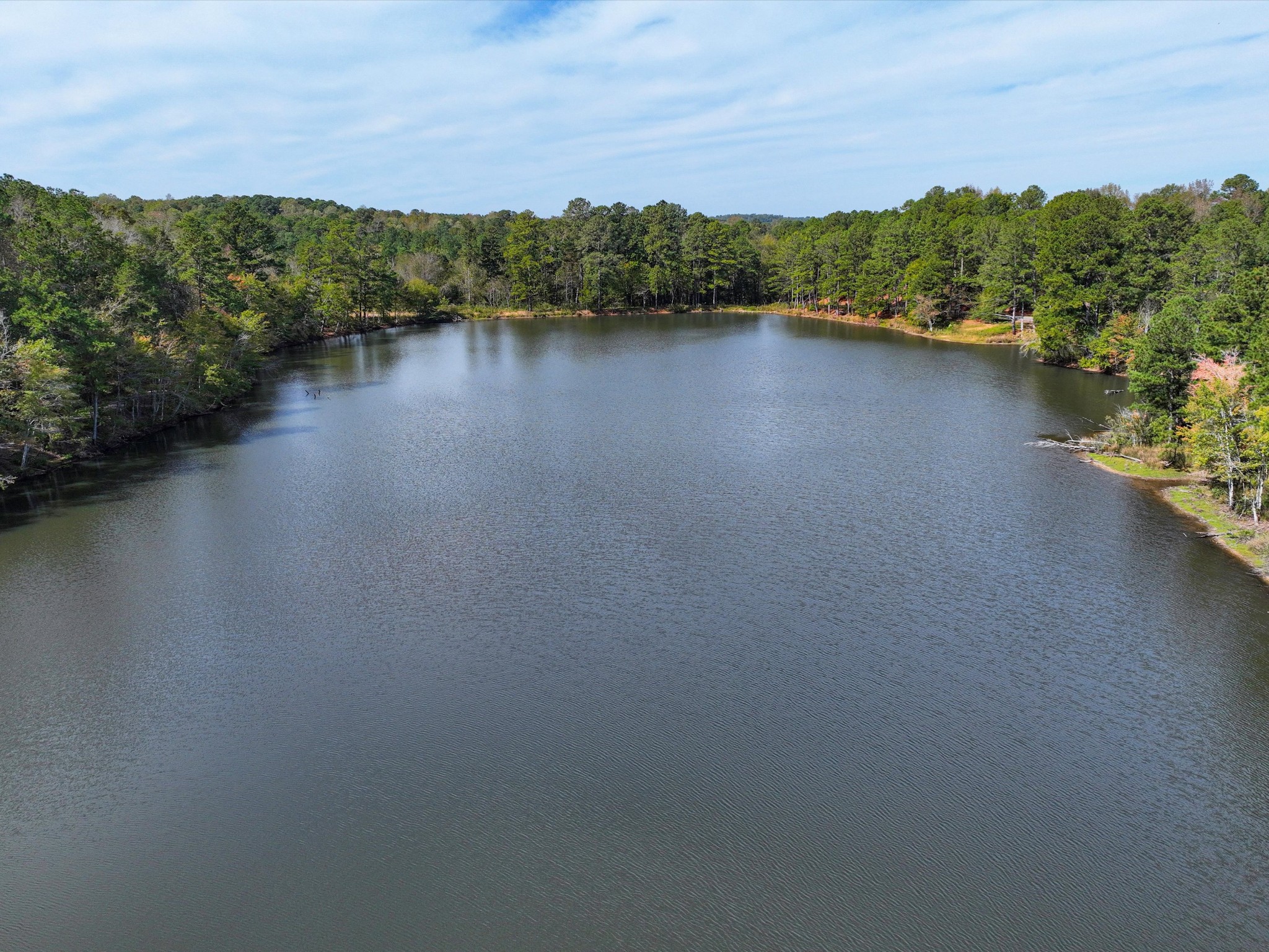 4453 Marsh Mountain Cutoff Property Photo 39