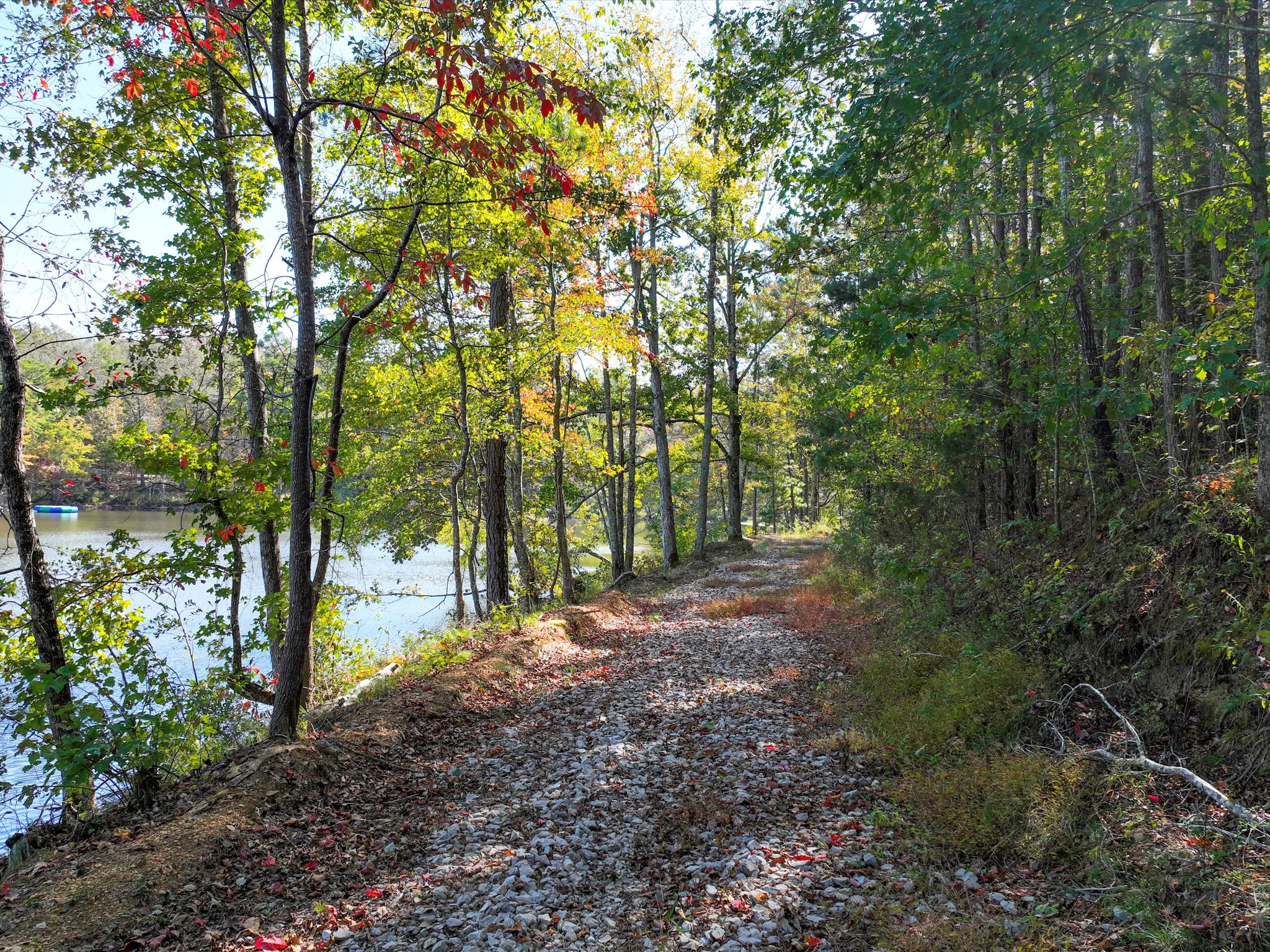 4453 Marsh Mountain Cutoff Property Photo 40