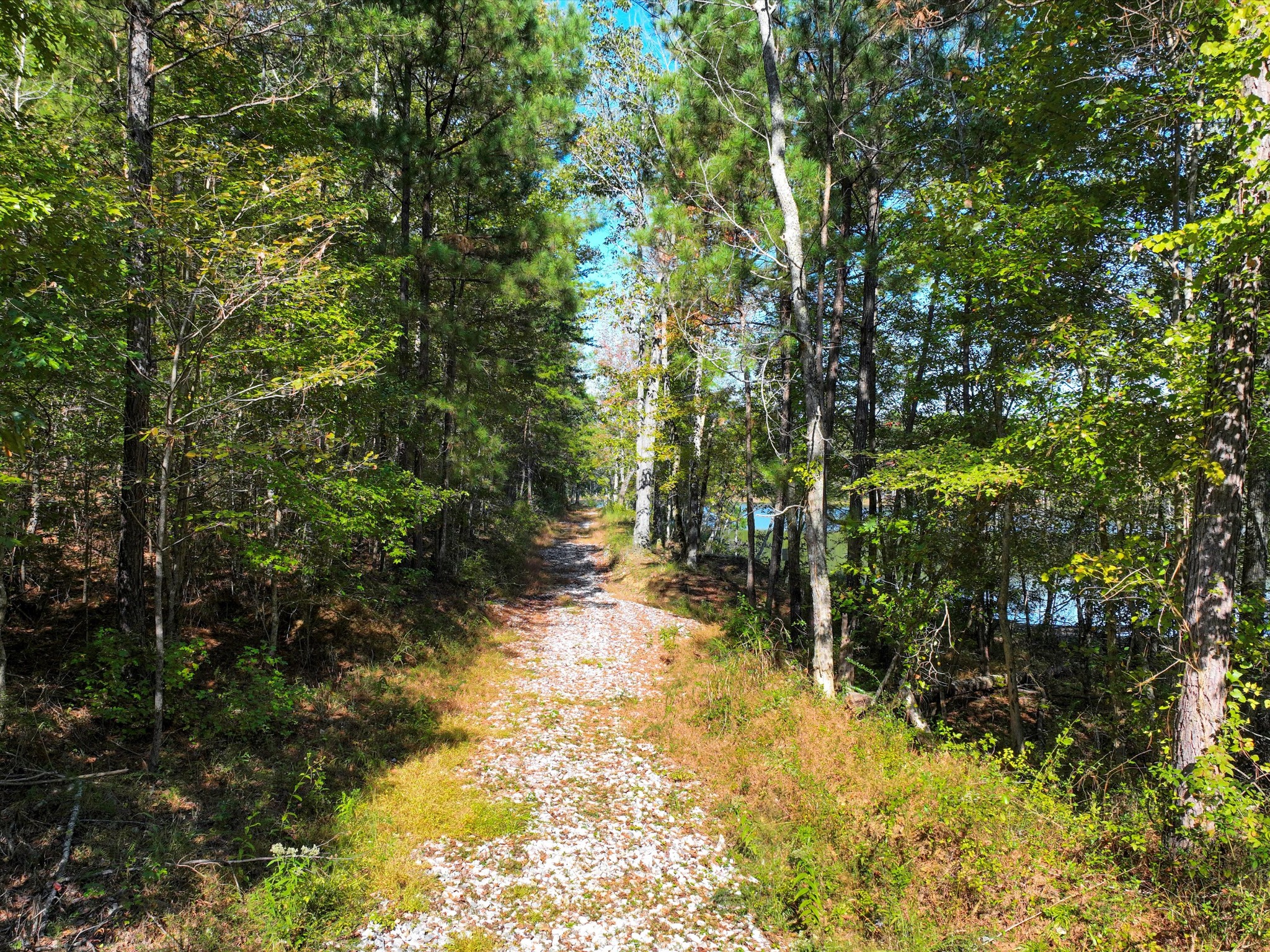 4453 Marsh Mountain Cutoff Property Photo 41