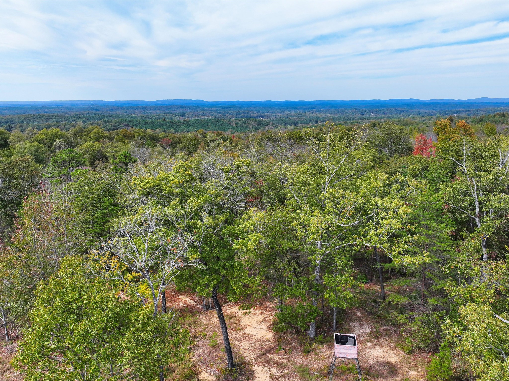 4453 Marsh Mountain Cutoff Property Photo 45