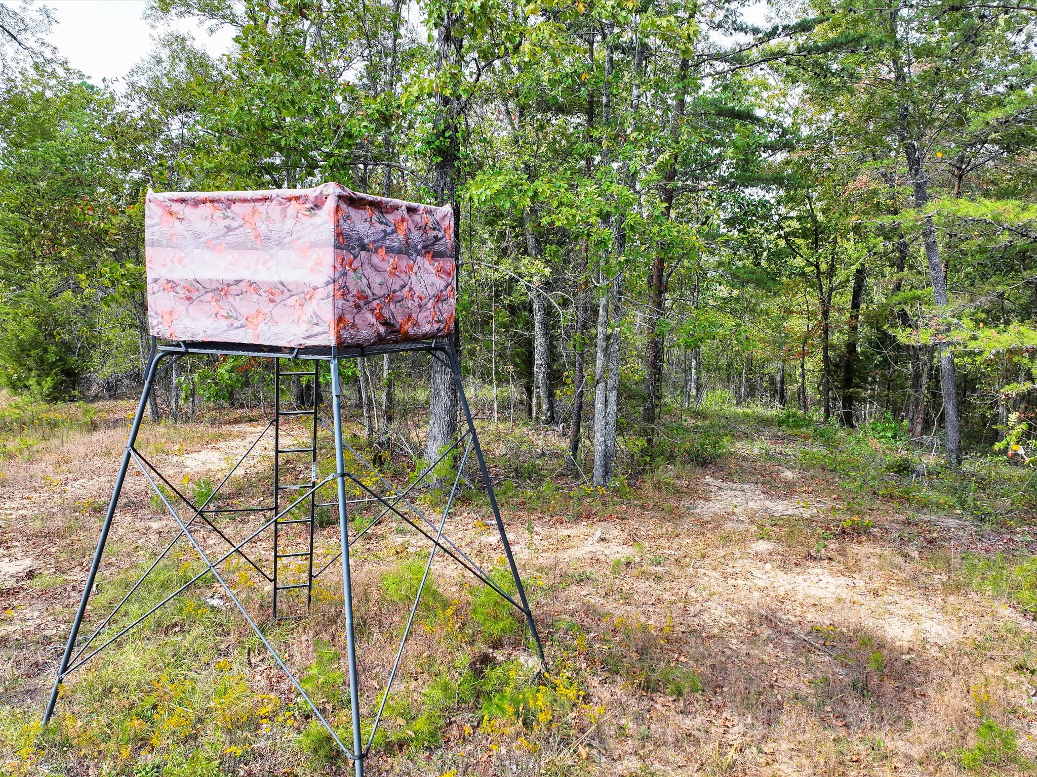 4453 Marsh Mountain Cutoff Property Photo 46
