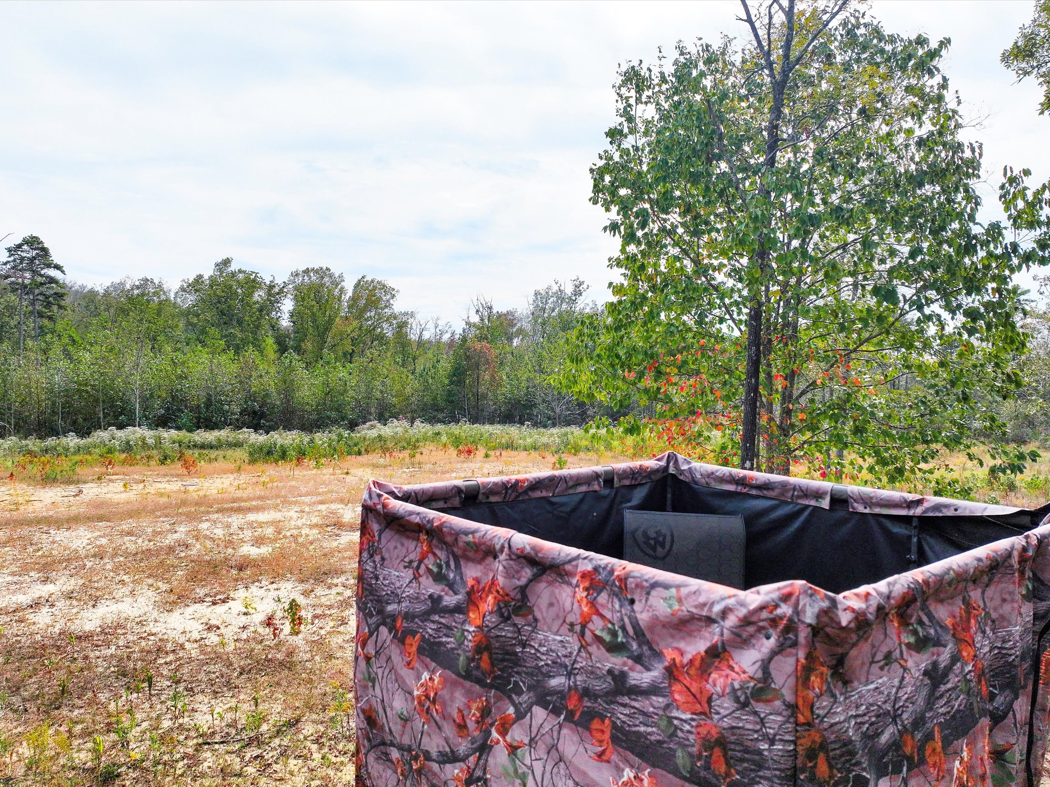 4453 Marsh Mountain Cutoff Property Photo 47