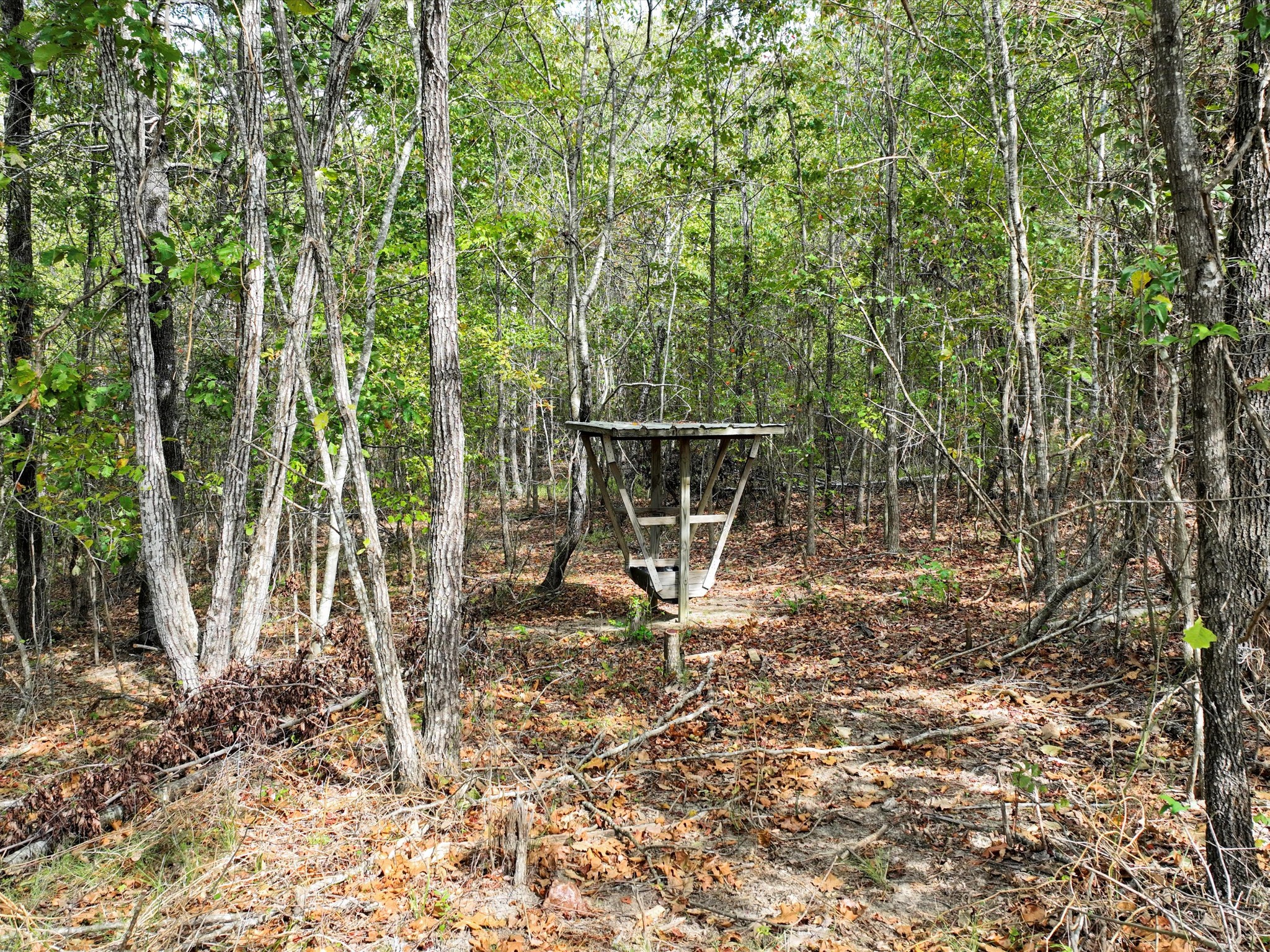 4453 Marsh Mountain Cutoff Property Photo 49