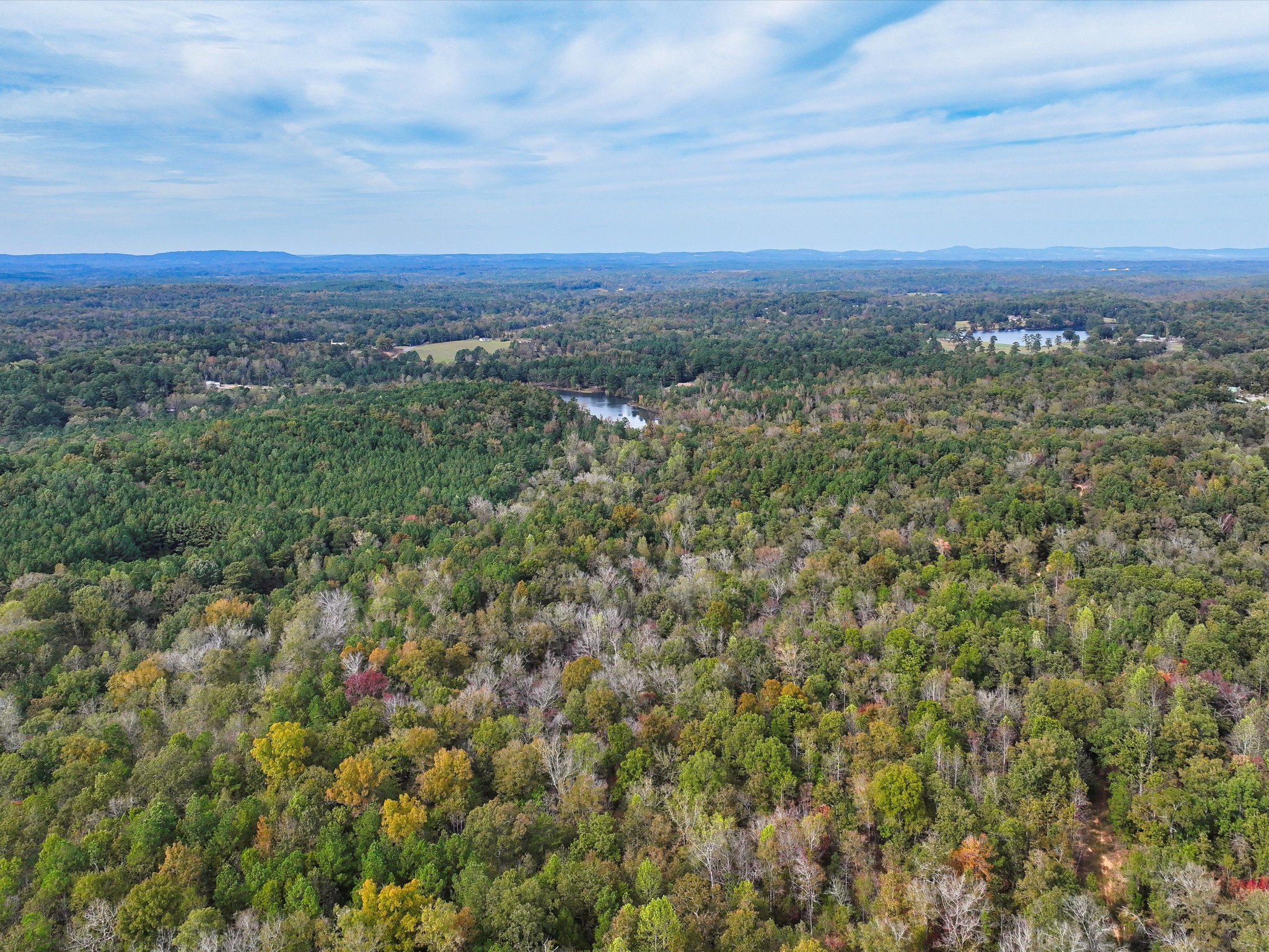 4453 Marsh Mountain Cutoff Property Photo 50