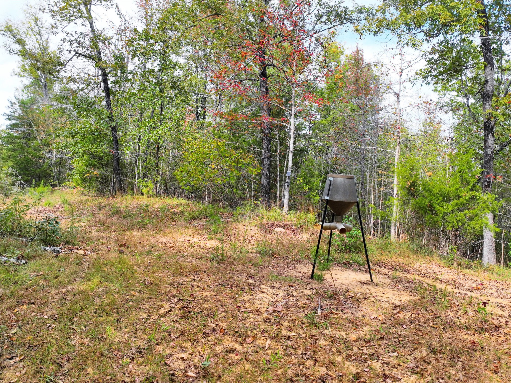 4453 Marsh Mountain Cutoff Property Photo 51