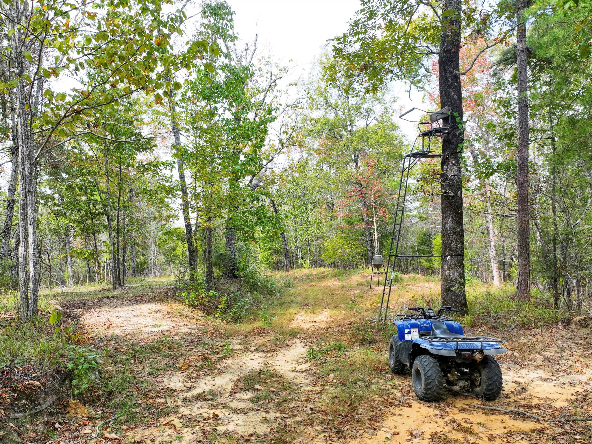 4453 Marsh Mountain Cutoff Property Photo 52