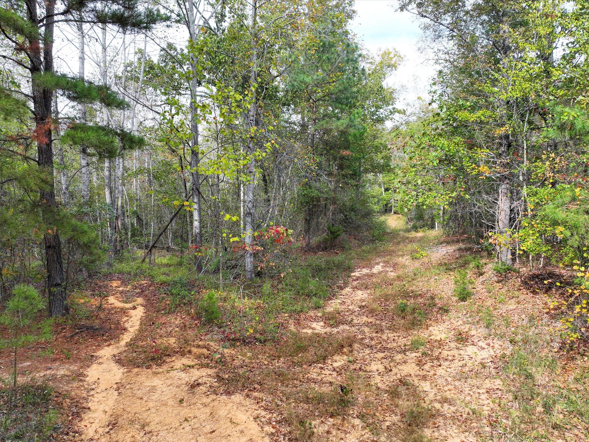 4453 Marsh Mountain Cutoff Property Photo 53