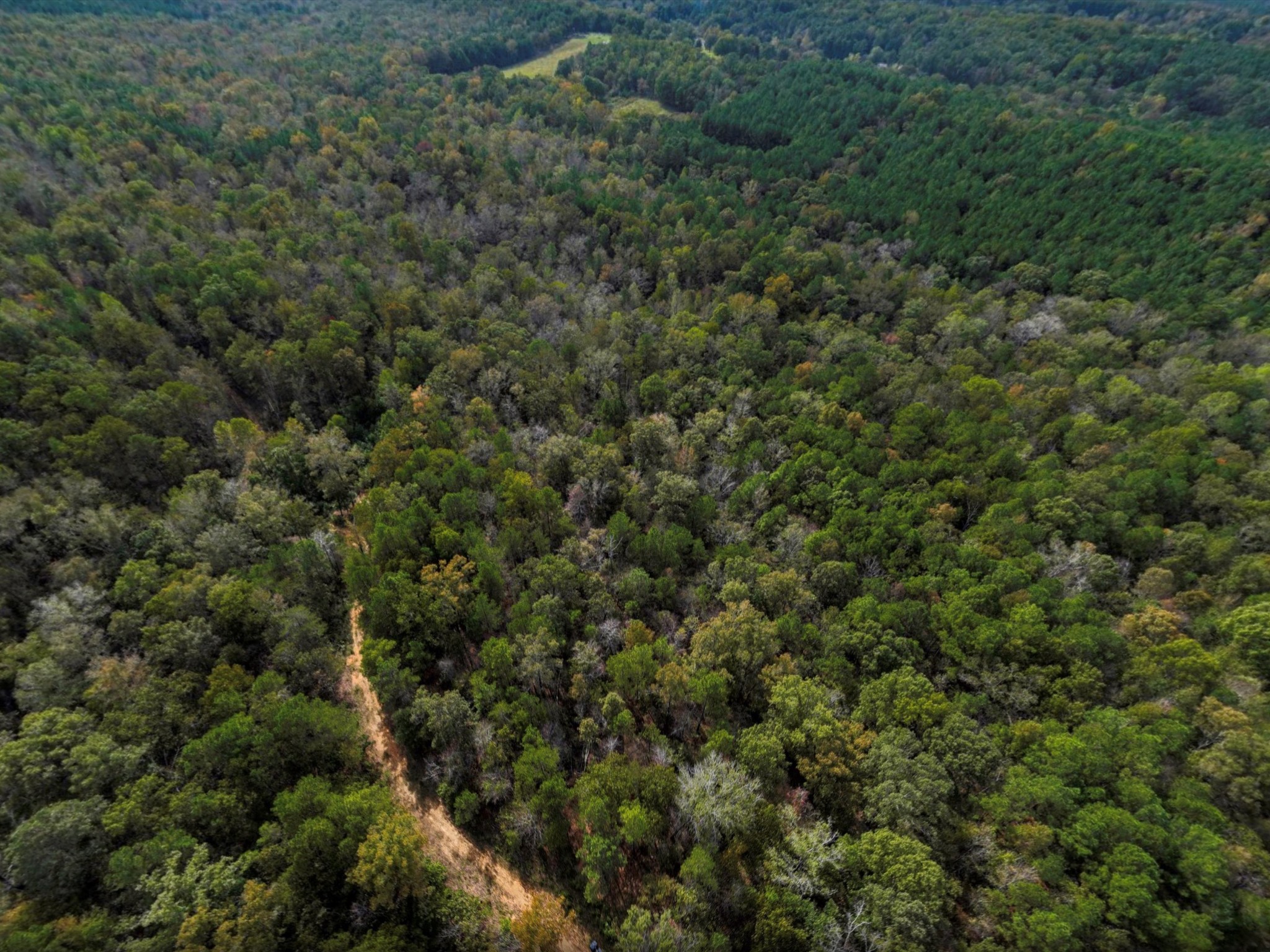4453 Marsh Mountain Cutoff Property Photo 54