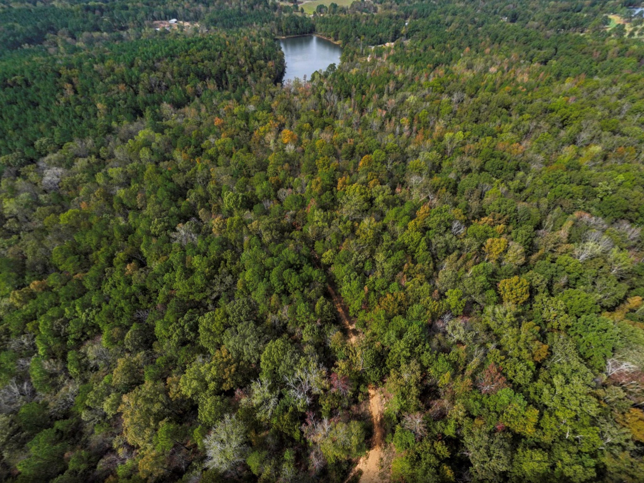 4453 Marsh Mountain Cutoff Property Photo 55